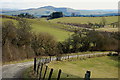 Sheep pasture near Sunnybank