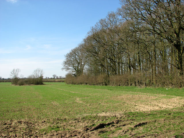 Sunny woodland edge west of Pockthorpe... © Evelyn Simak :: Geograph ...