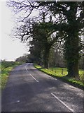 SU9346 : Hook Lane between Puttenham and Shackleford by Shazz