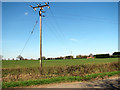 Cultivated field north of Melton Road