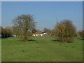 Chertsey, Dumsey meadow