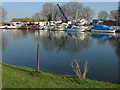 Chertsey, The Thames