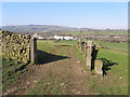 Bridleway leading towards Sough