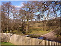 Fence, Ford, Footbridge and Beatock Burn