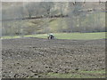 Ploughing in Glen Fincastle