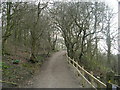 Footpath - Sykes Wood - Tong Lane