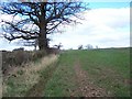 Footpath To Blymhill Lawns