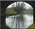 The Great Stour river runs under the railway bridge