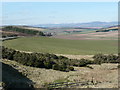 Pasture beside the A928