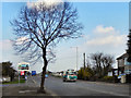 Warrington Road (A574)