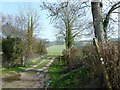 Looking from the village hall up to Bell Hill