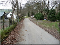 SN6860 : Lane past Sunnyhill Farm near Tregaron by Jeremy Bolwell