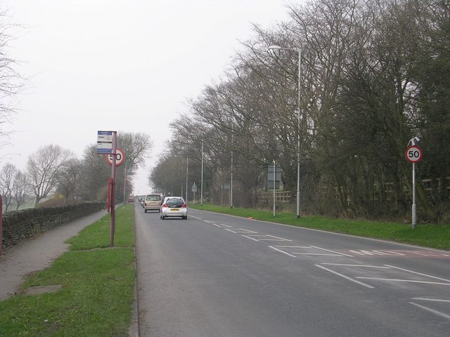 Tong Road - viewed from Green Lane