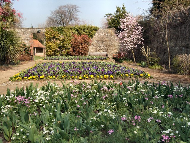 Spring flowers in Manor Gardens