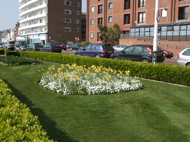 Spring flowers on Bexhill Seafront