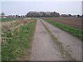 Westfield Lane (track) towards Eastrington village