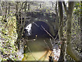 Bedford Brook, Culvert