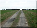 Walking south towards Bugthorpe Grange