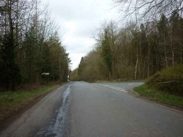 A road junction at Buttercrambe Moor Wood
