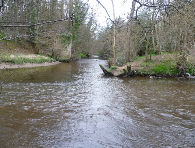 Waters Meet, Dalkeith Country Park © kim traynor cc-by-sa/2.0 ...