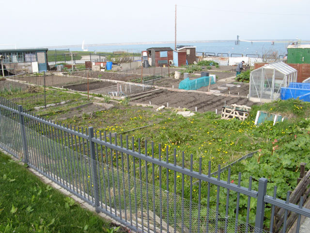 Prince of Wales Road Allotments