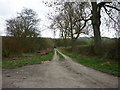 A track leading to Oxpasture Wood