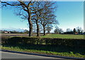 Countryside at Little Warford, Cheshire