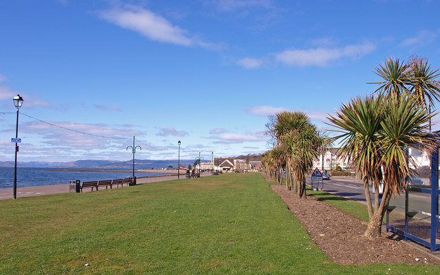 Palm Trees, Largs Front © wfmillar :: Geograph Britain and Ireland