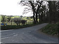 Ardaghy School Road from Drumlee Road