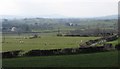 Sheep pastures south of the Drumlee Road