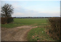 TL7157 : Lidgate in the distance  by roger geach