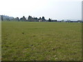 Footpath across pastures at Horton Hall Farm