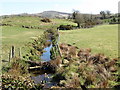 A tributary of the Muddock River upstream of the Lackan Road spur