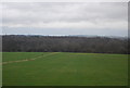 Field by the East Coast Main Line