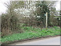 Footpath And Gate