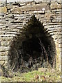 The arch in the lime kiln in Black Cleugh