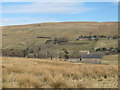 West Allen Dale around Blackcleugh Farm