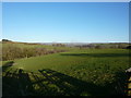 View east from High Whittaker Farm