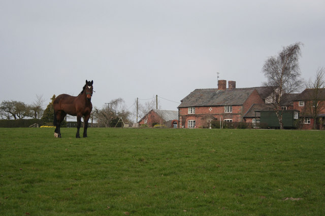 Brereton Park Farm © Dave Dunford cc-by-sa/2.0 :: Geograph Britain and ...