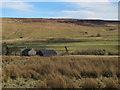 West Allen Dale around Blackcleugh Farm (2)