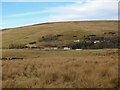 West Allen Dale around Limestone Brae