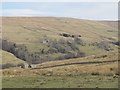 West Allen Dale around Wolfcleugh