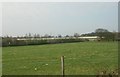 Back of Tong Garden Centre - viewed from New Lane