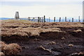 NT2531 : Peaty ground at Dun Rig summit by Jim Barton