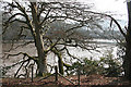 Brixton: overlooking Mudbank Lake