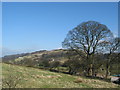 Farmhouse Calrofold Lane