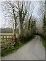 S6545 : Country Lane by kevin higgins
