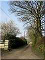 S6445 : Country Lane by kevin higgins