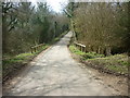 Back Lane at Mitten Hill Beck