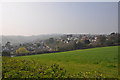 Teignbridge : Looking towards Holcombe